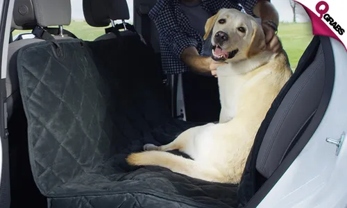 Pet Car Seat Cover!